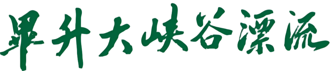 毕升漂流